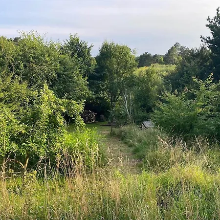 84361-knebel-apollovej-112 *