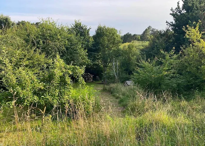 84361-knebel-apollovej-112 *